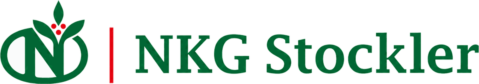 Logo Nkg Stockler